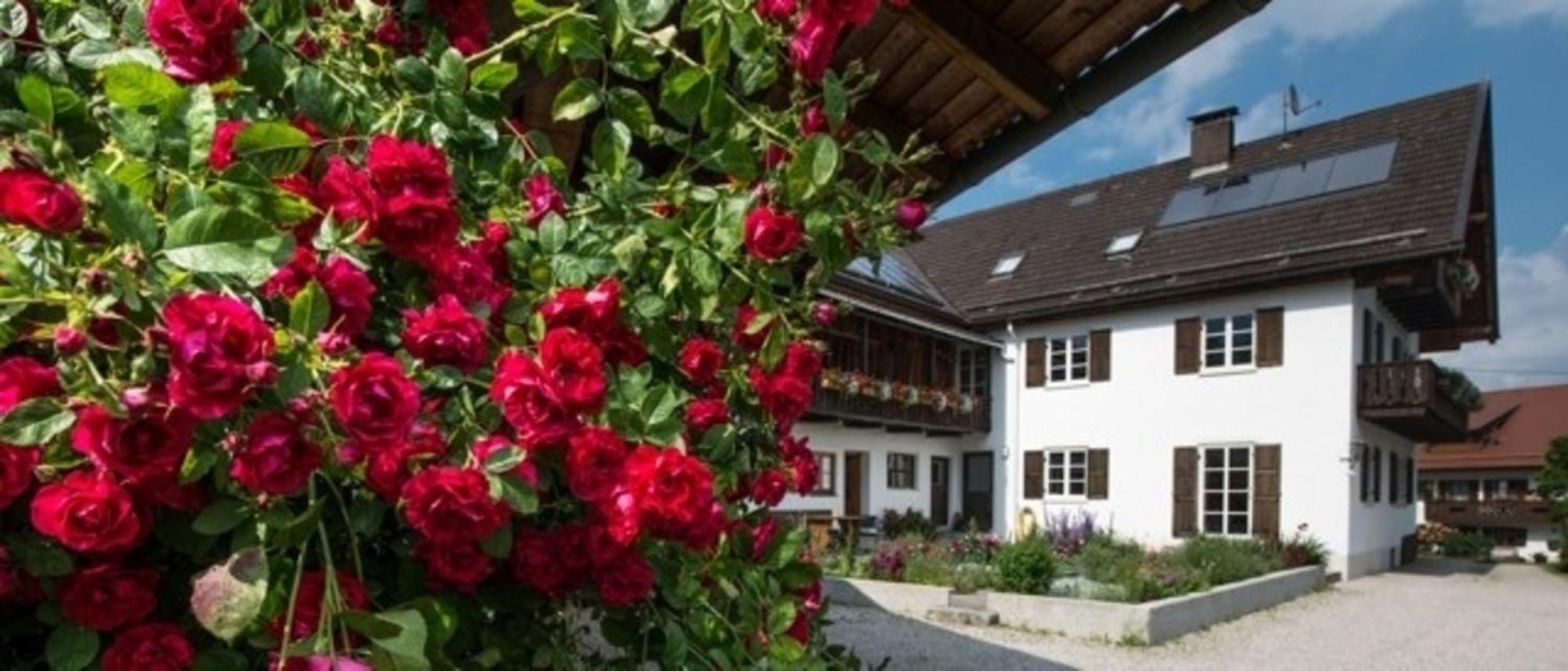Ferienwohnung Lacherhof 시하우젠암스타펠시 외부 사진